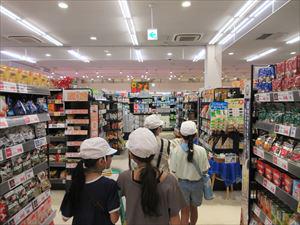 IMG_3416_R.JPG
