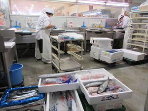 IMG_3408_R.JPG