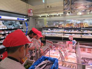 IMG_3451_R.JPG