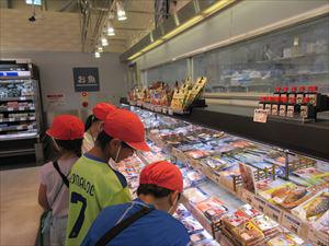 IMG_3455_R.JPG