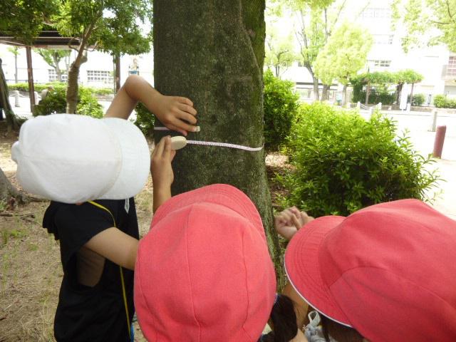 P1010596.JPG