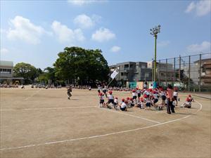 PXL_20250520_000413366_R.jpg