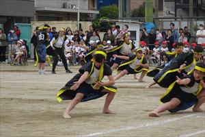 DSC04379_R.JPG