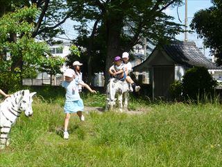 P1060008_R.JPG
