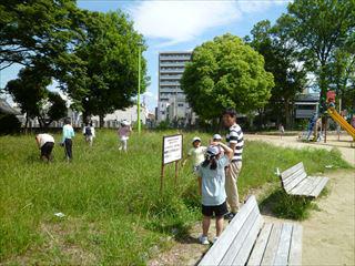 P1060011_R.JPG
