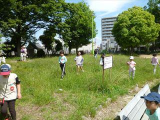 P1060012_R.JPG