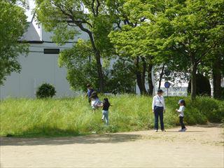 P1060014_R.JPG