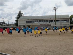 PXL_20250522_014550138_R.jpg