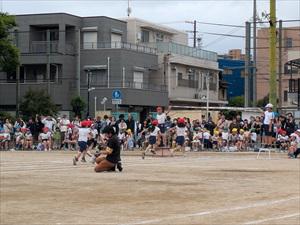PXL_20250525_021033857_R.jpg