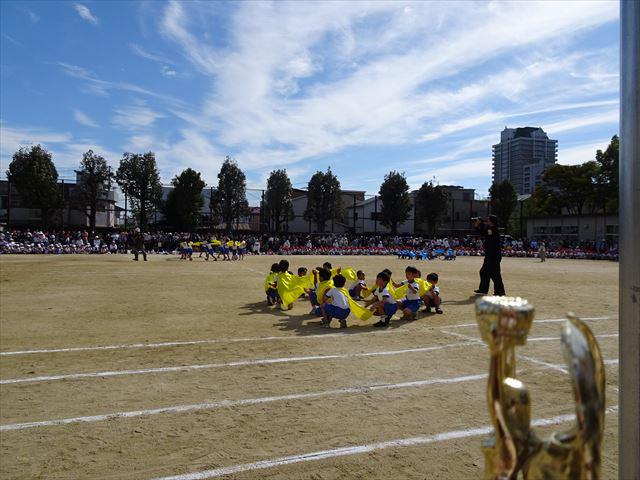 DSC01973_R.JPG