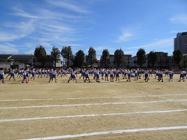 DSC01978_R.JPG