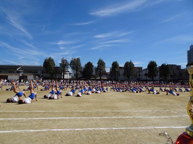 DSC01981_R.JPG