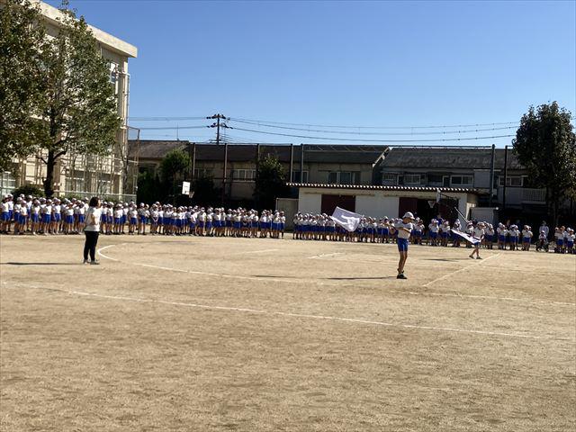 IMG_3539_R.JPG