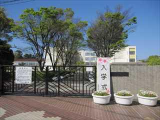 IMG_3084_R.JPG
