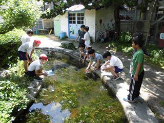 CIMG2101_R.JPG