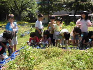 CIMG2126_R.JPG