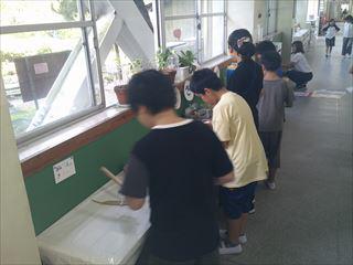 DSCF0301_R.JPG