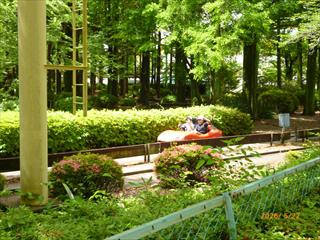 P1000915_R.JPG