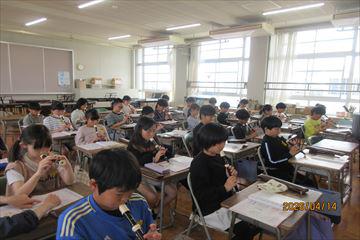 IMG_3891_R.JPG