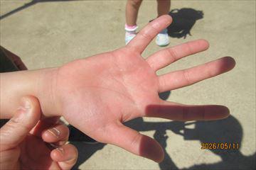 IMG_4035_R.JPG