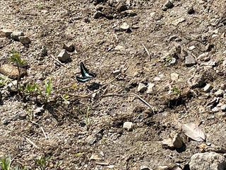 IMG_5208 (1)_R.jpg