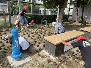 IMG_5382_R.jpg