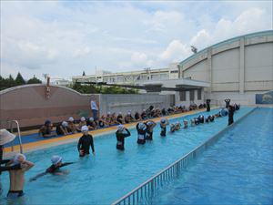 IMG_2931_R.JPG