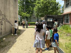 IMG_4043_R.JPG