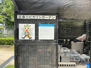 IMG_4044_R.JPG