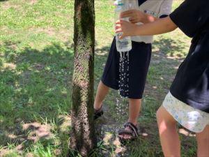 IMG_5521_R.jpg