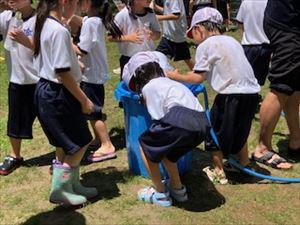 IMG_5522_R.jpg