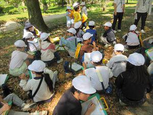 IMG_6294_R.JPG