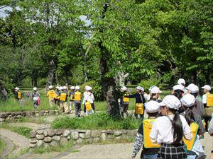 IMG_6296_R.JPG