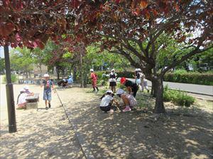 IMG_6964_R.JPG