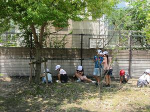 IMG_6966_R.JPG