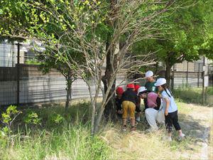 IMG_6967_R.JPG