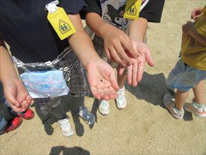 IMG_6969_R.JPG