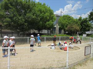IMG_6984_R.JPG