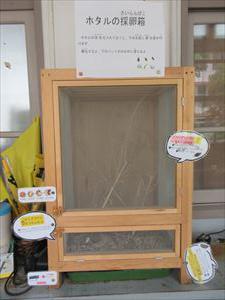 IMG_7437_R.JPG