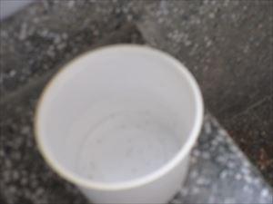 IMG_7440_R.JPG