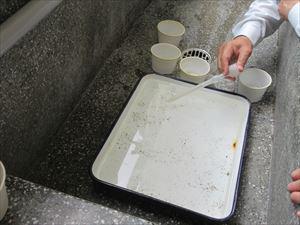 IMG_7442_R.JPG