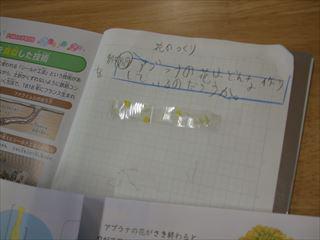 DSCF0555（理科ノート）_R.JPG
