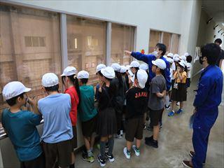 IMG_7785_R.JPG
