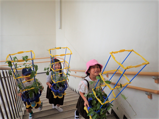 P7188500_R.PNG