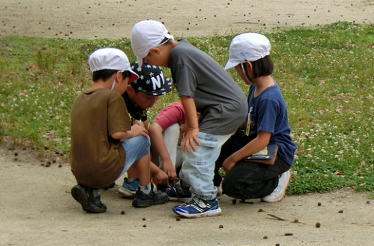 ①公園たんけん２.png