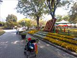 IMG_20260428_105511_R.jpg