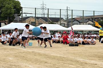 IMG_0714_R.jpg