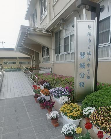 IMG03828_HDR~2.jpg