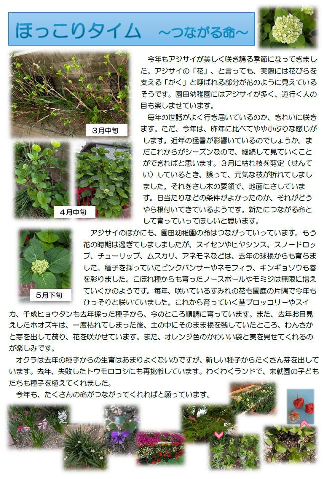 R07_sonoda_0527_1.jpg