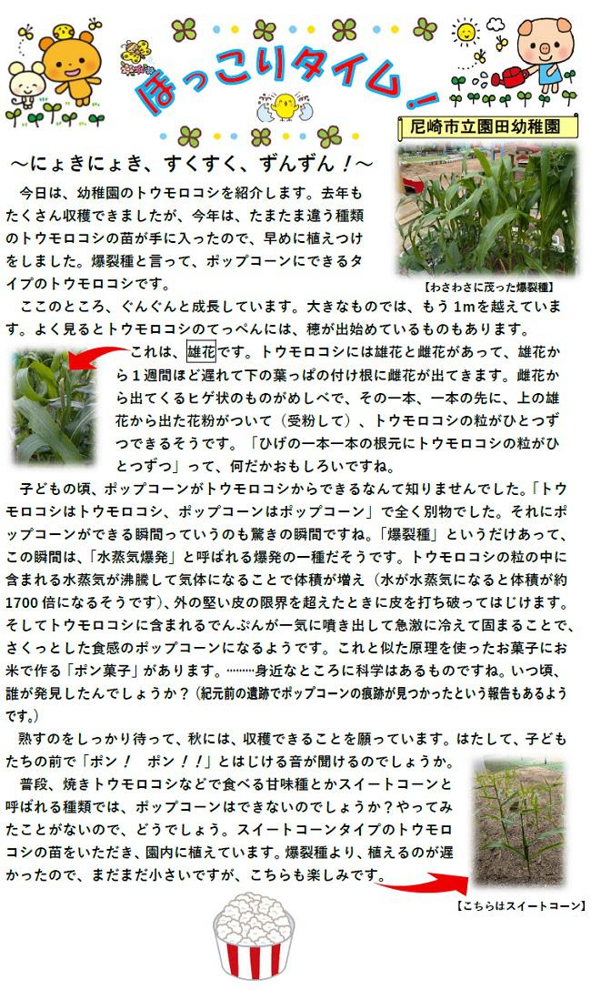 R08_sonoda_0619_1.jpg